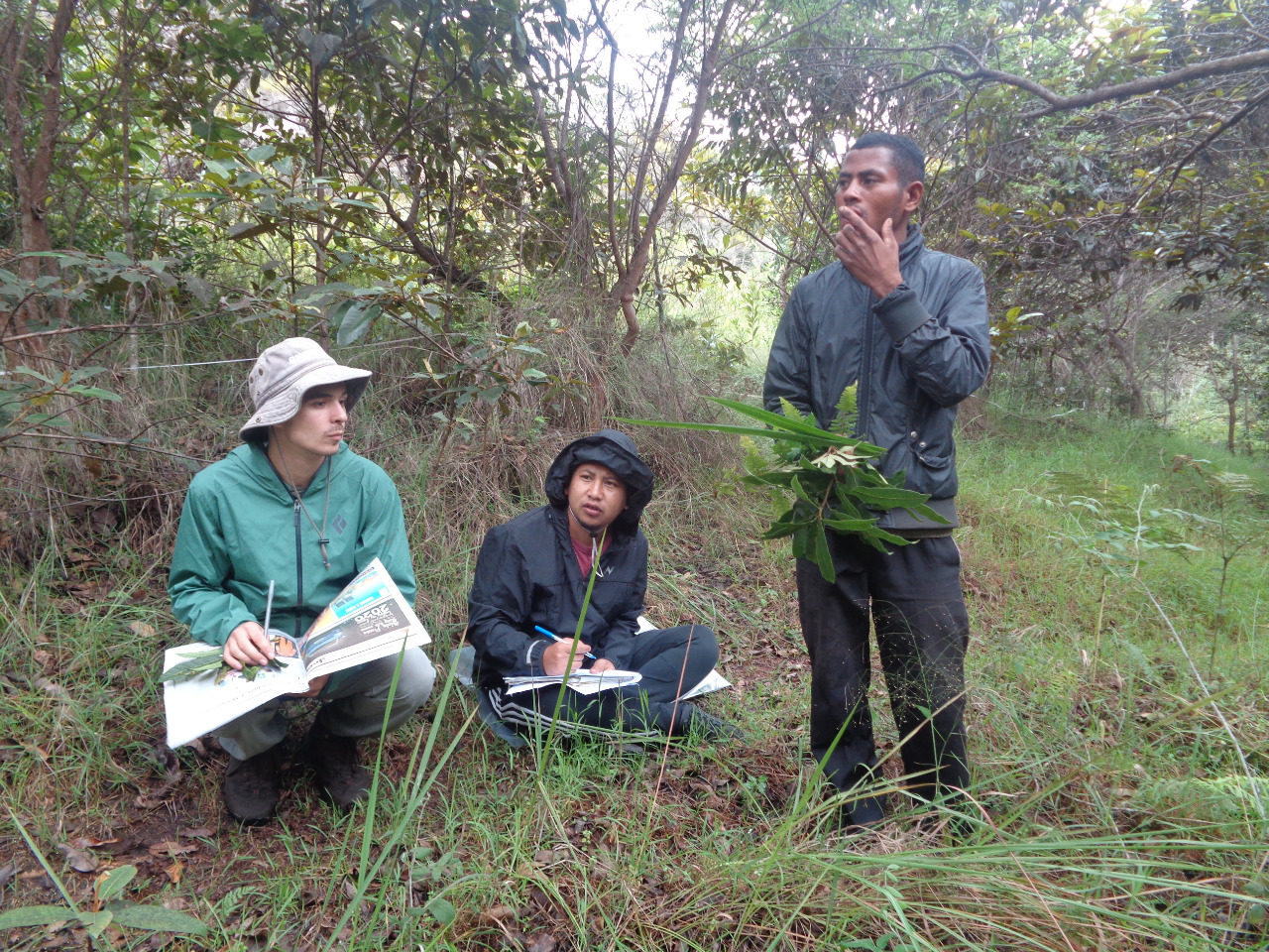 Plant Research