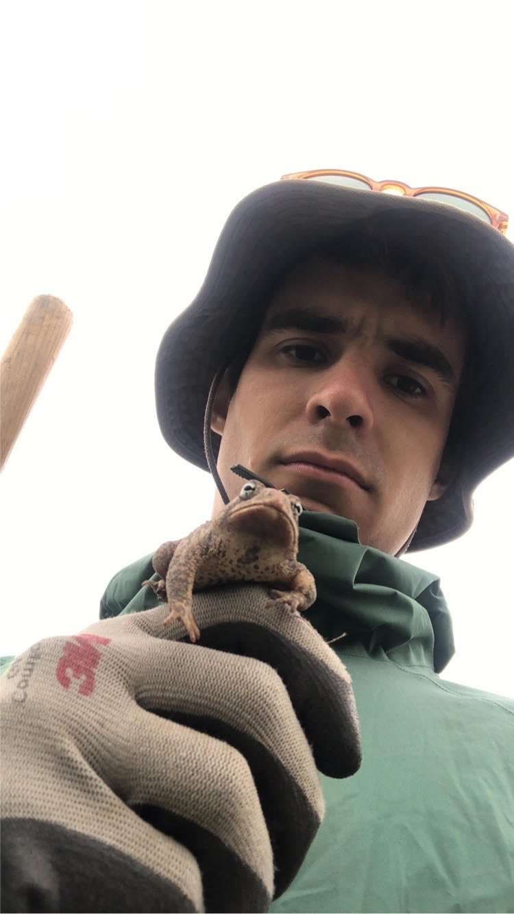 Toad in Hand