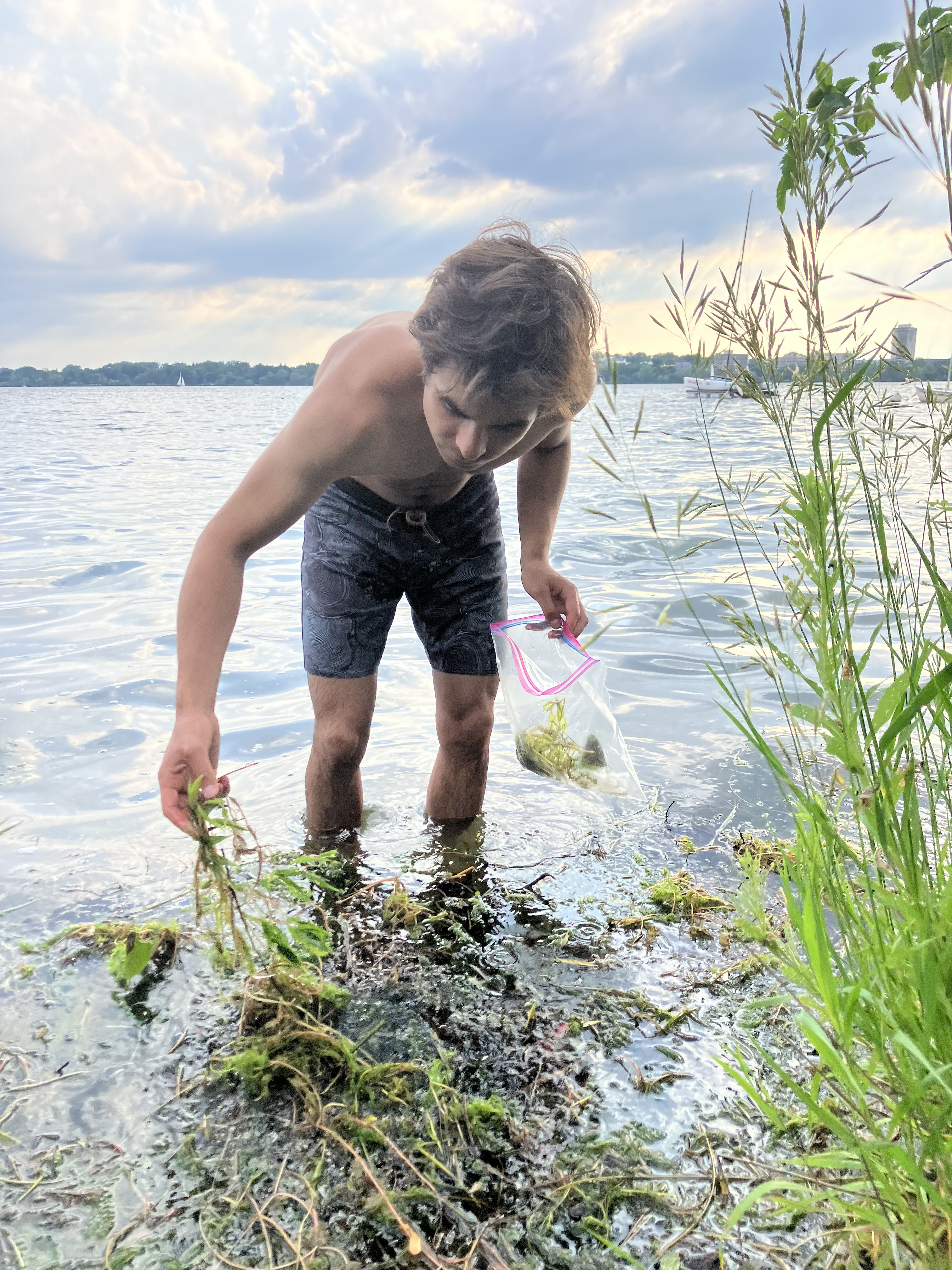 Looking for pond weeds